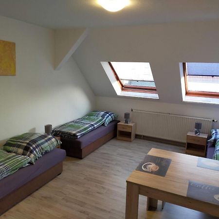 Flex Aparts - Grosse, Moeblierte Wohnung In Zwickau Mit 2 Zimmern Exterior foto